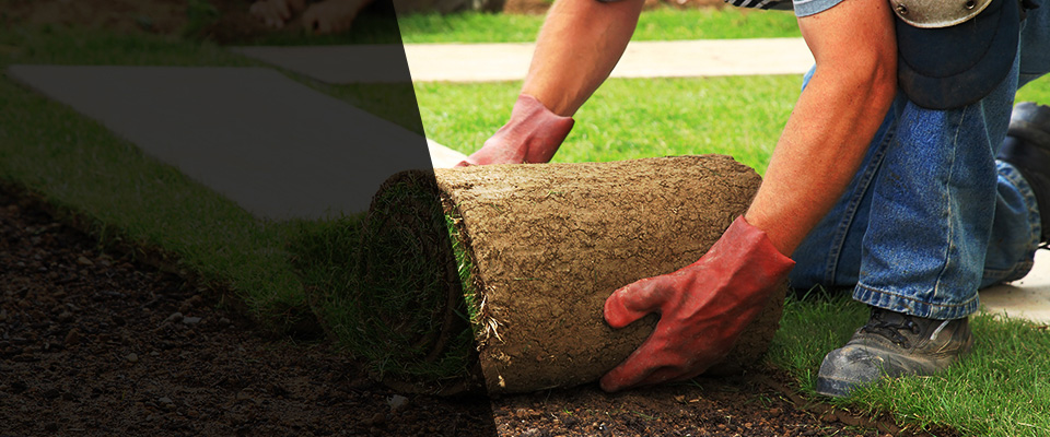 Maryland Heights Landscapers